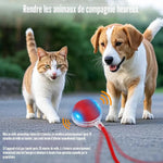 Charger l'image dans la galerie, Balle interactive pour chat automatique rechargeable – Zafora MiaouRoll™ ZAFORA