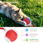Charger l'image dans la galerie, Balle interactive pour chat automatique rechargeable – Zafora MiaouRoll™ ZAFORA
