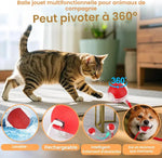 Charger l'image dans la galerie, Balle interactive pour chat automatique rechargeable – Zafora MiaouRoll™ ZAFORA
