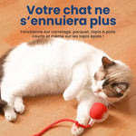 Charger l'image dans la galerie, Balle interactive pour chat automatique rechargeable – Zafora MiaouRoll™ ZAFORA
