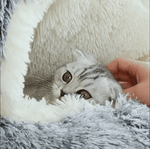 Charger l'image dans la galerie, Lit rond peluche chaud et sécurisé pour chat ZAFORA
